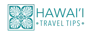 website logo